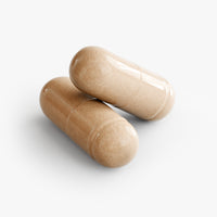 Stellar Health Labs 10-Mushroom Blend Capsules — Lion's Mane, Reishi, Cordyceps, Chaga, Maitake, Turkey Tail, Shiitake — 60 Vegetable Capsules