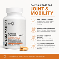 Platinum Turmeric supplement bottle - Stellar Health Labs