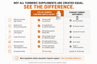 Platinum Turmeric supplement bottle - Stellar Health Labs